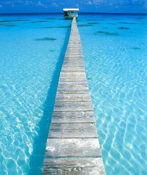 Walking Warrior tweet media