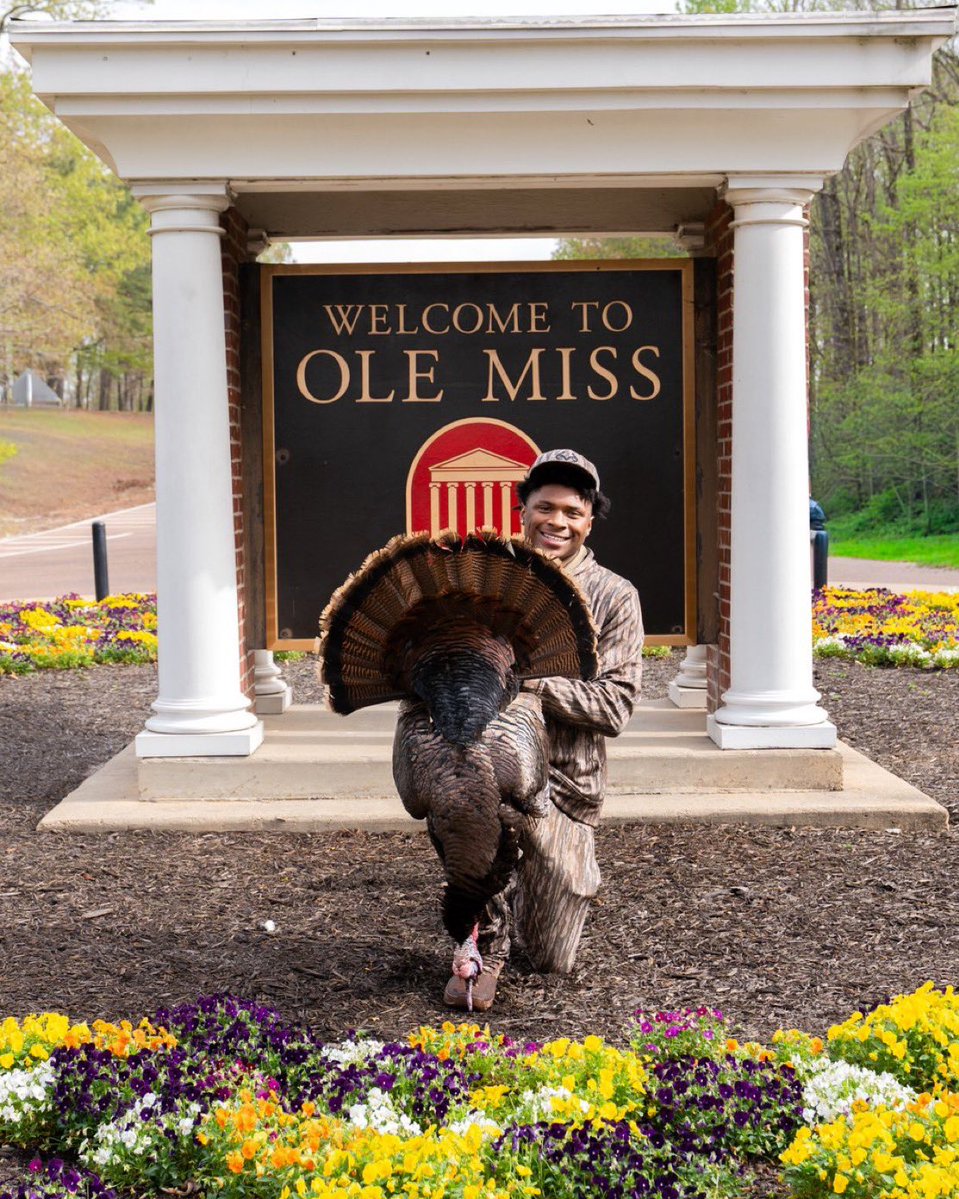 Rebel Ball tweet media