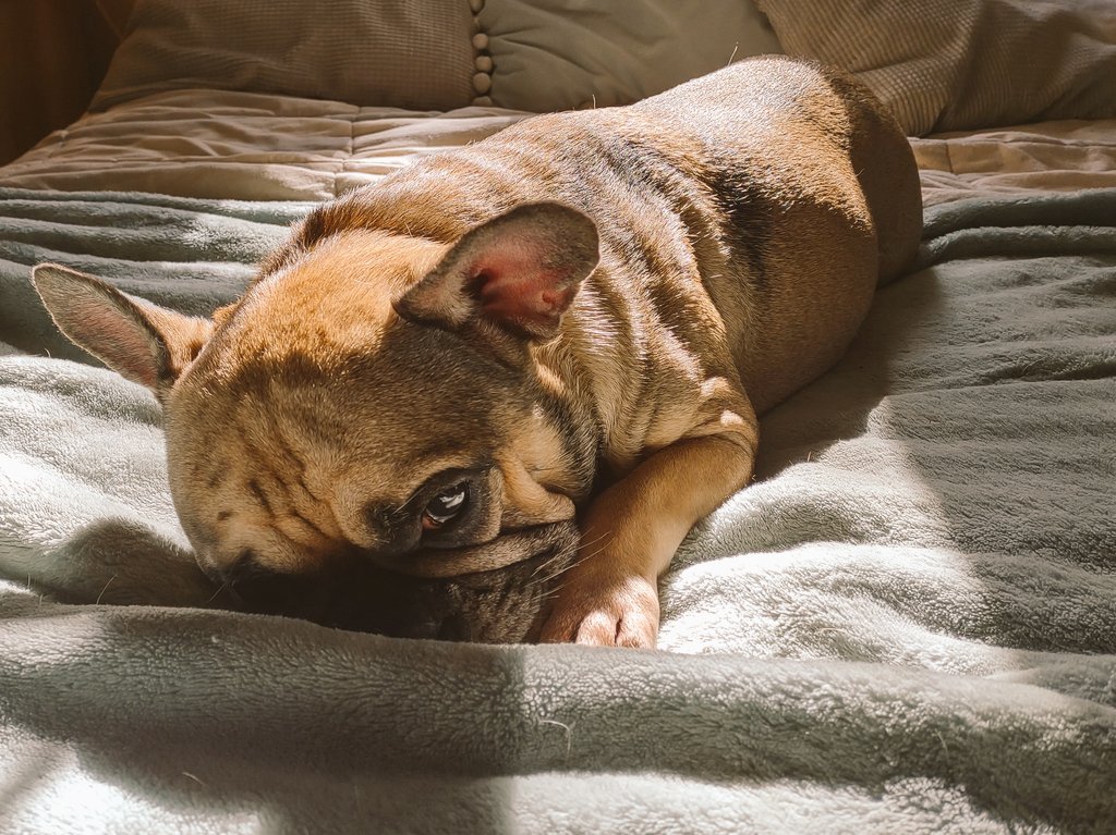 Whale Psychiatrist ™️ tweet media