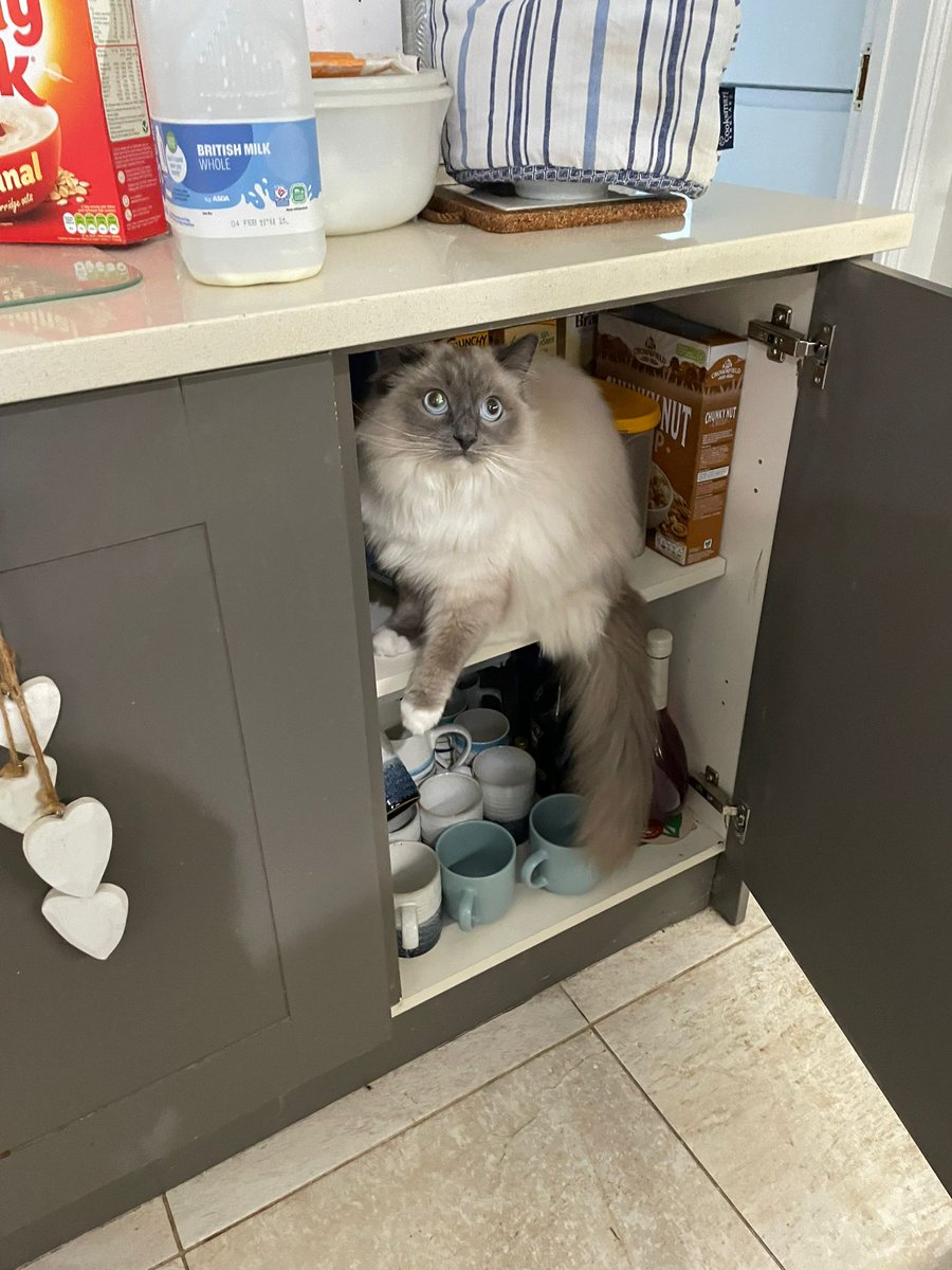 john Condliffe tweet media