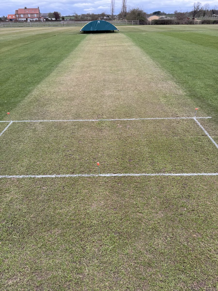 ryanpepper91's tweet photo. First grass net of the year yesterday at @ShbccCricket  korod square in September feels so much flatter better grass @YPLNCricket @HmSeedsAmenity @PitchLincs https://t.co/xYPnaL0mUs