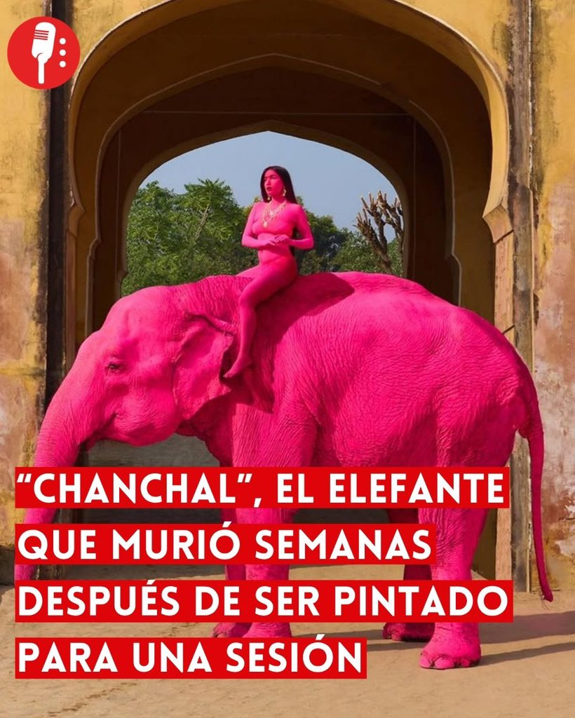 Los Reporteros MX tweet media