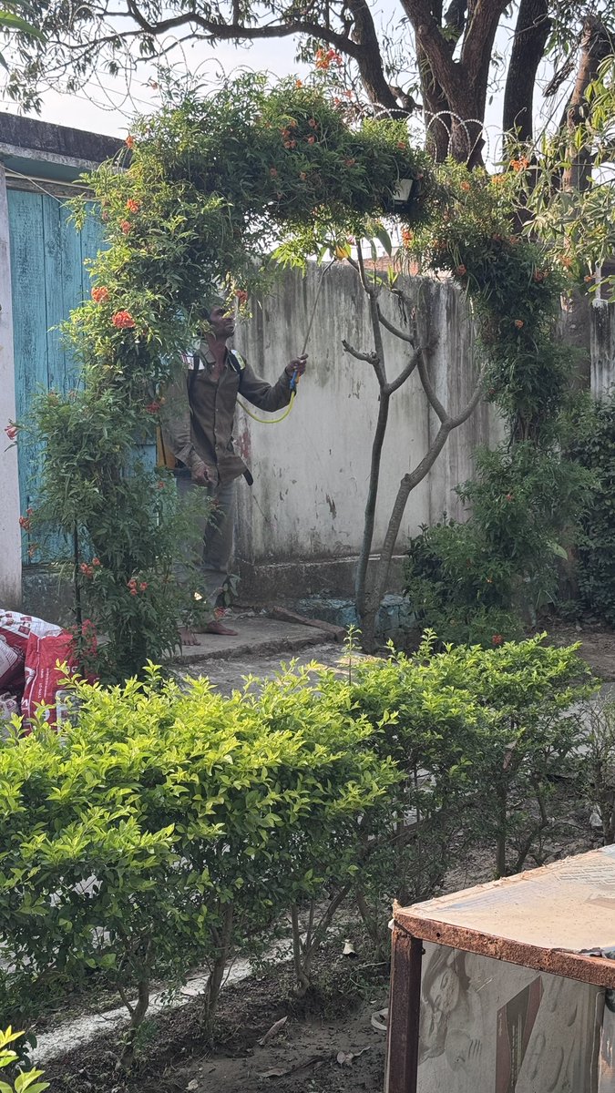 Anujgupta298248's tweet image. “Green vibes maintained 🌿✨
Garden ki safai ke saath aaj proper spray bhi karwaya — clean space, clear mind 💯”
#greenvibes #cleanliving #healtylife #swacchbharat