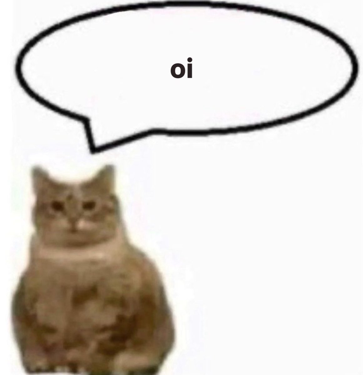 gatos fazendo gatices tweet media