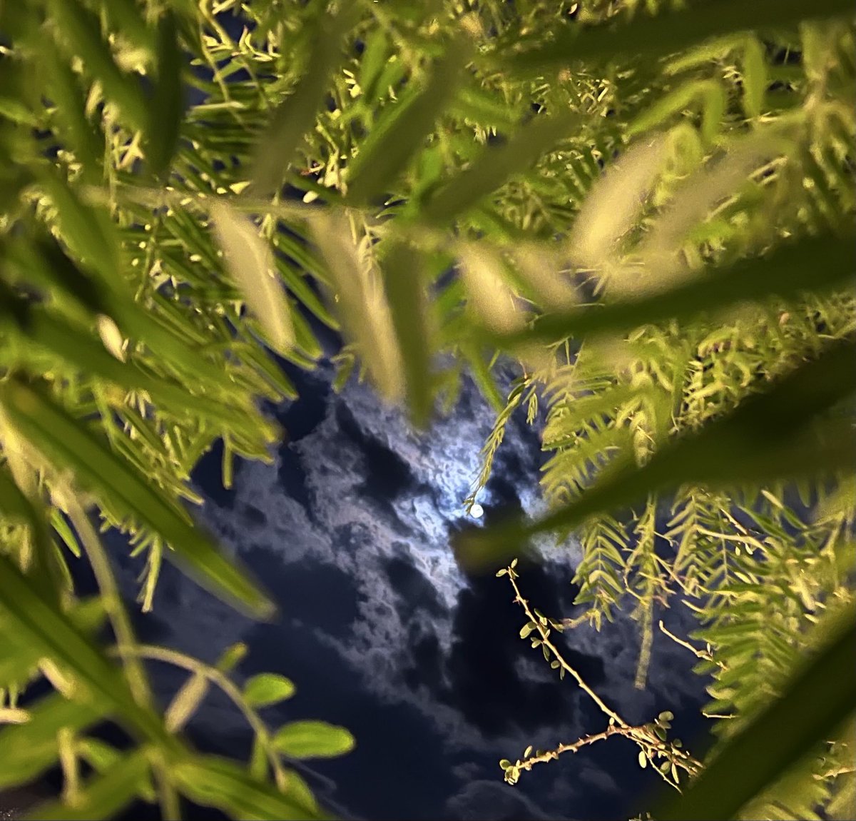 سحـــاب tweet media