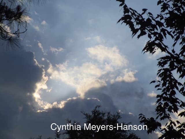 Sky-Princess-Cindy tweet media