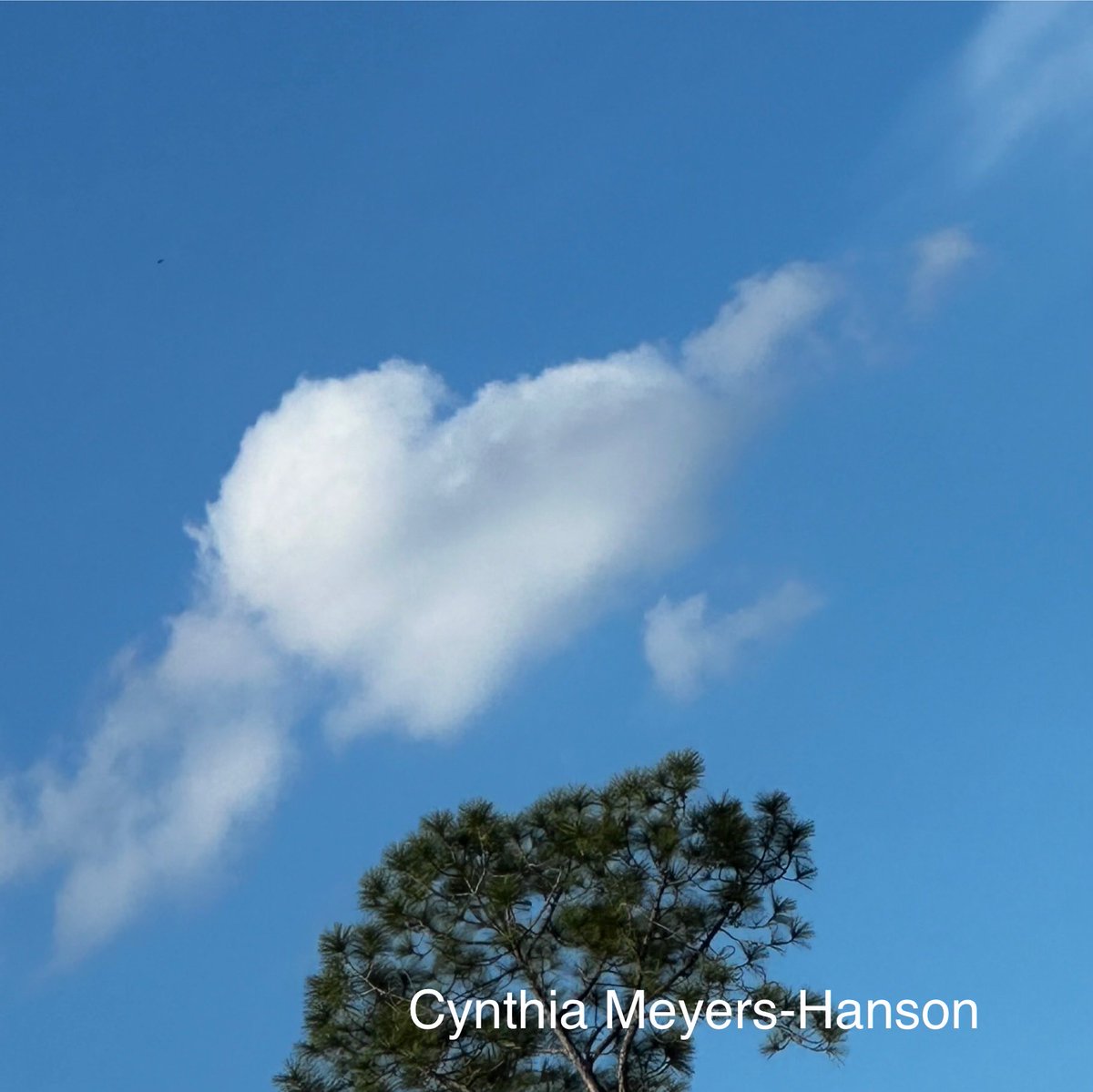 Sky-Princess-Cindy tweet media