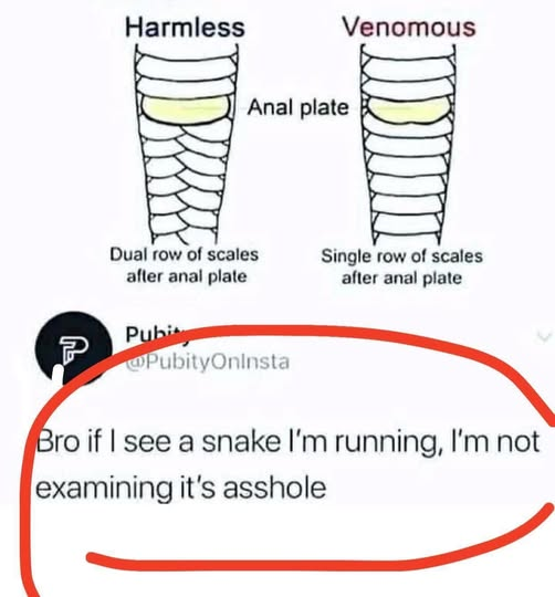 Headshok1962 tweet media