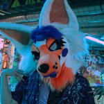 Photo by Cryptic (@crypticlizards)