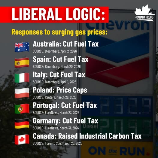 Nicole's_in_AB tweet media