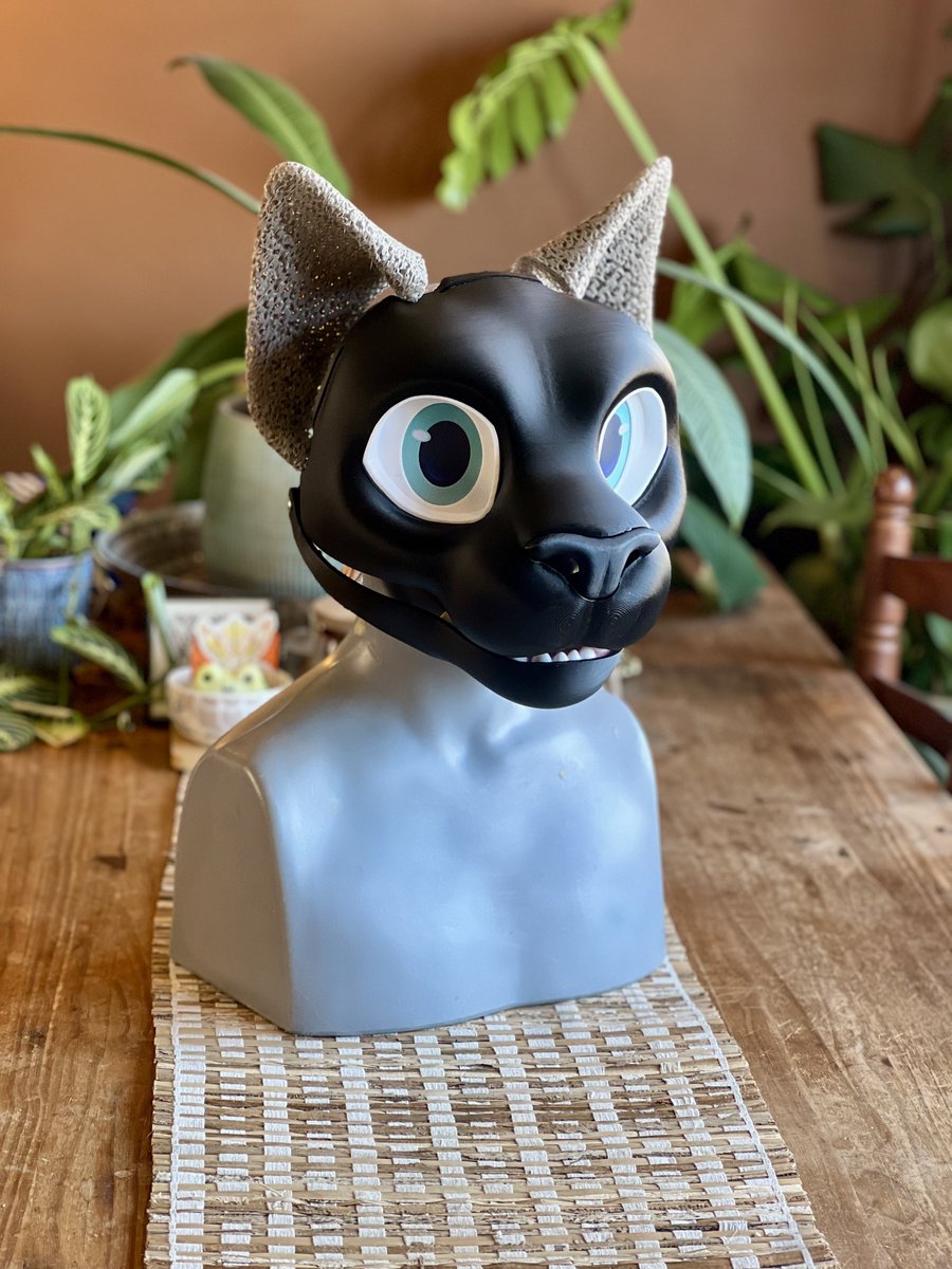 Biglionsden 🦁 @ Confuzzled tweet media