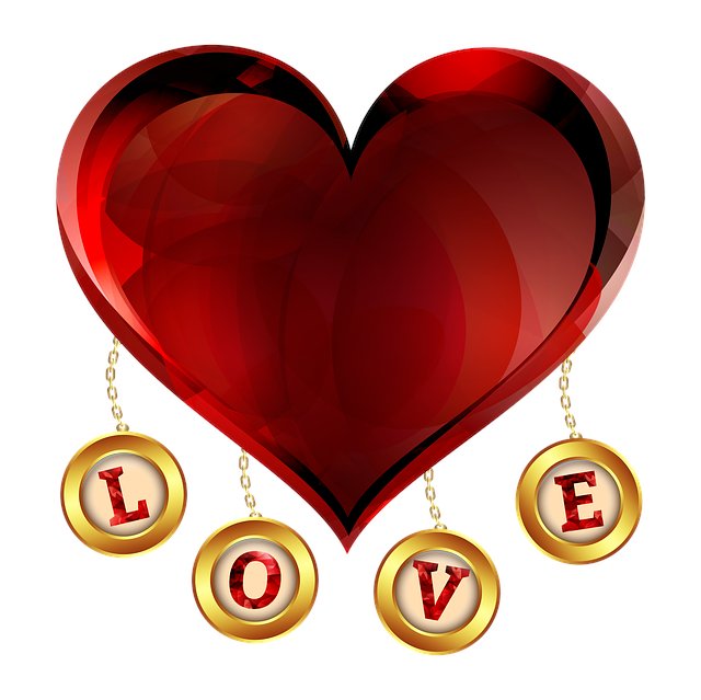 Isabella Zimmerman tweet media