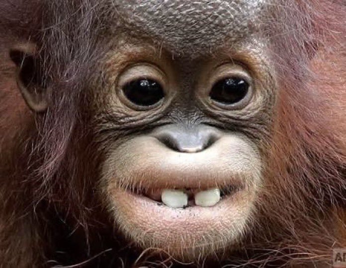 بيلي 🇺🇸 tweet media