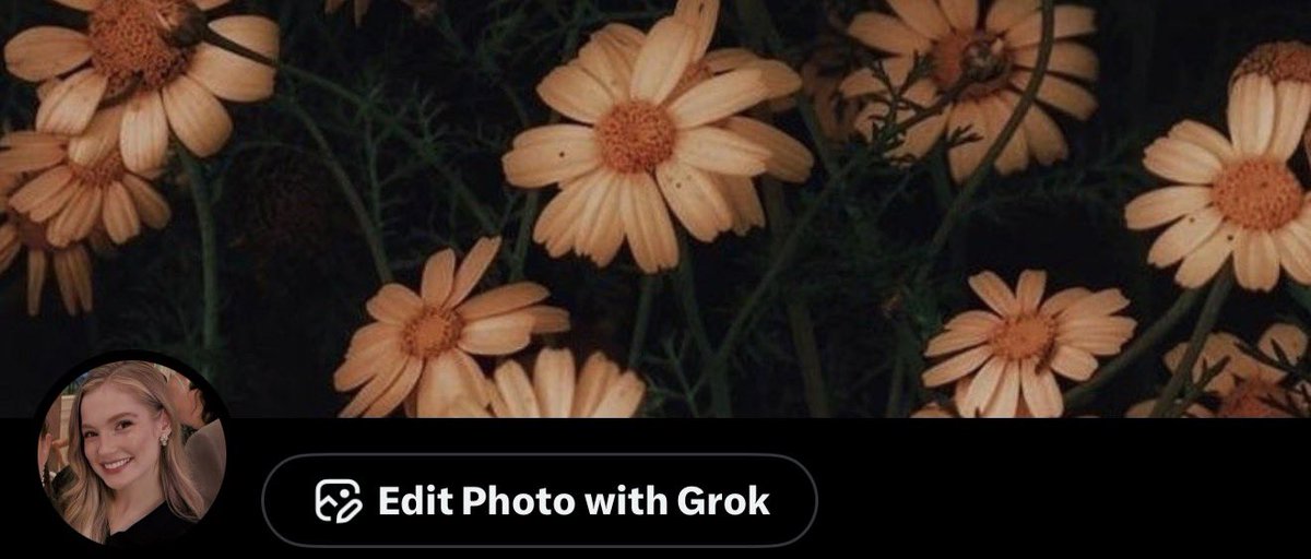 kate 𝜗𝜚 tweet media