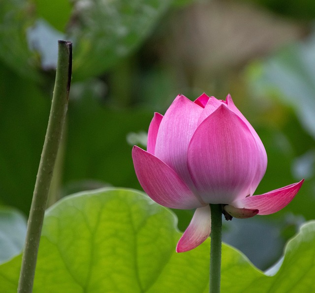 Max Carter tweet media