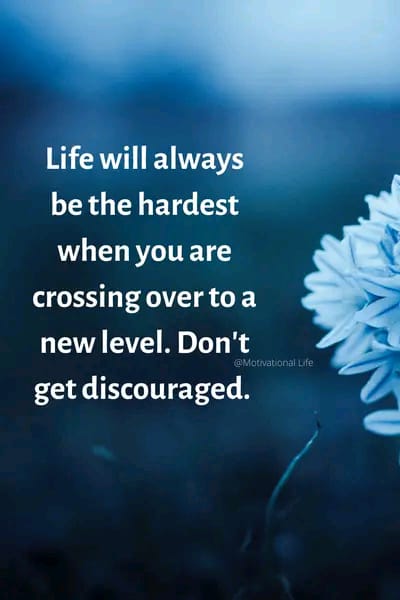 Chris Romanus tweet media