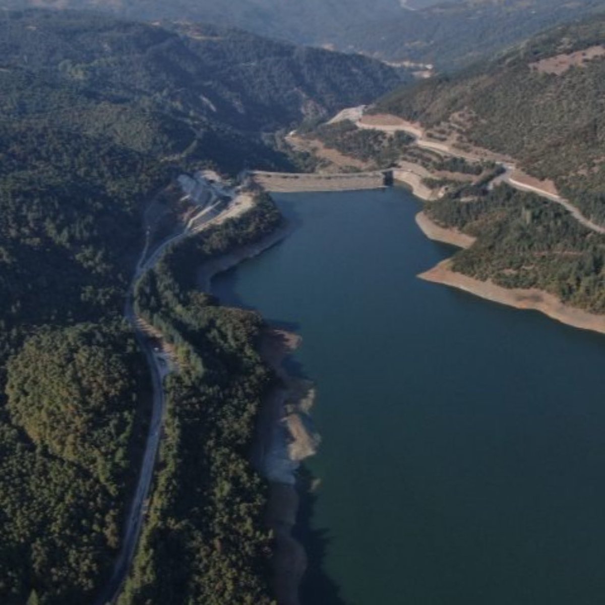 Gusholder Haber Bülteni tweet media