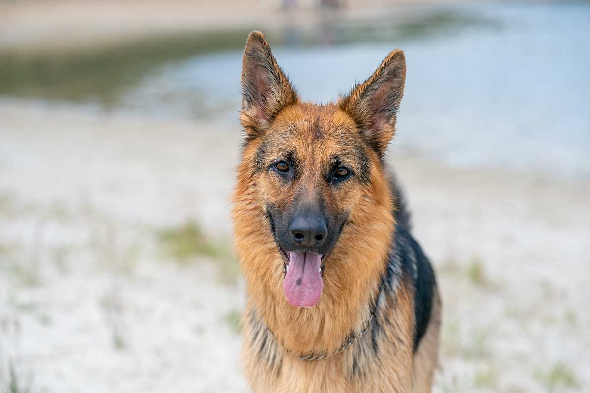 natlawreview's tweet image. Muddy Paws? Franchisor’s Unclean Hands Precludes Full Equitable Relief natlawreview.com/article/muddy-… #IntellectualProperty #Franchise #Litigation @IP_Planet