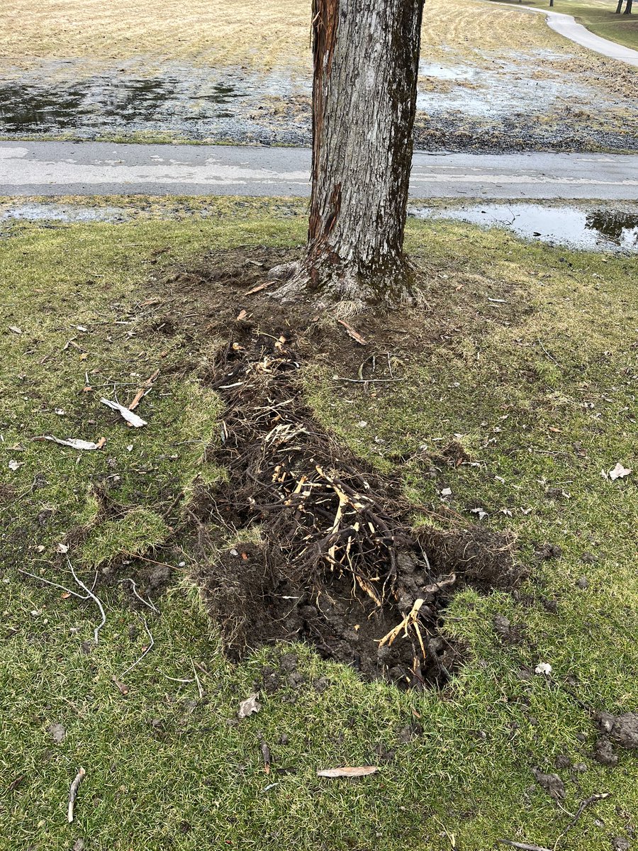 James Horvath tweet media