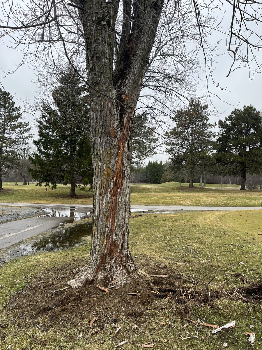 James Horvath tweet media