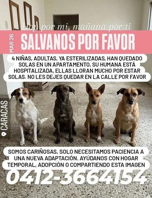 BettySoto tweet media