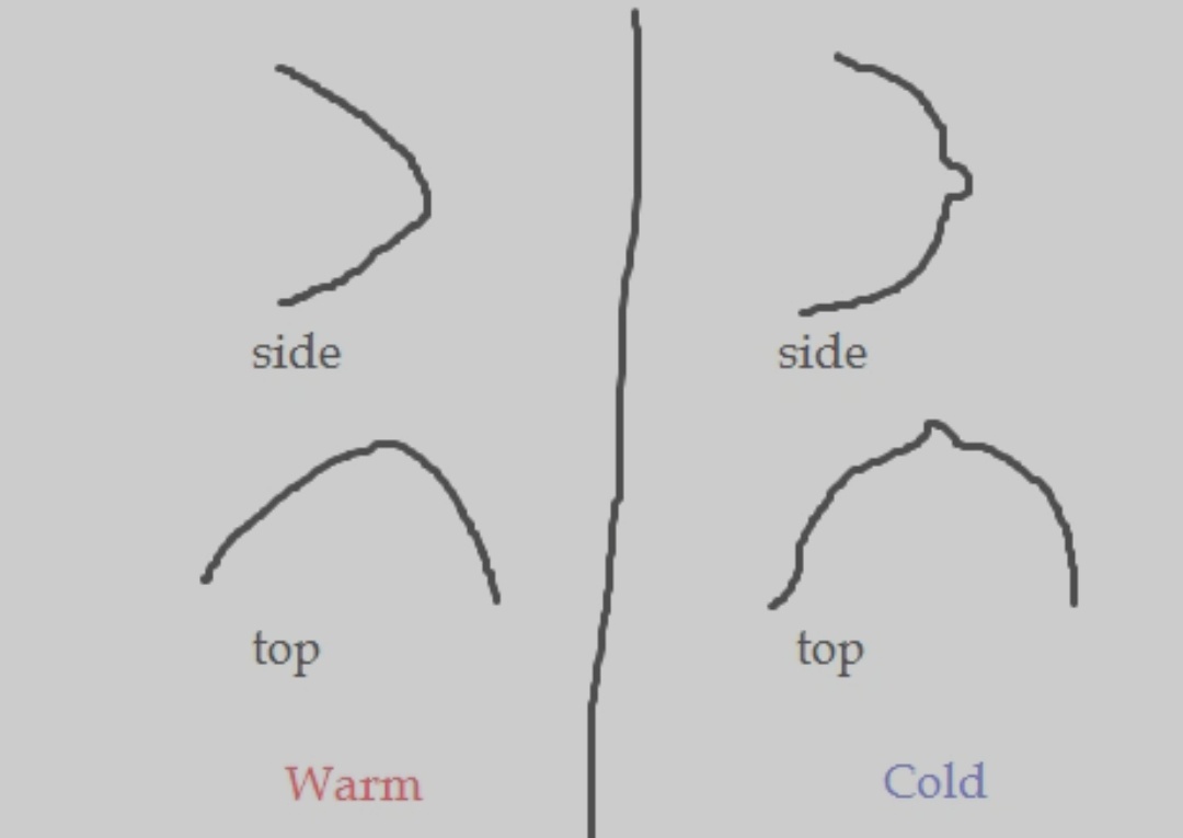 Sofia 🦞 tweet media