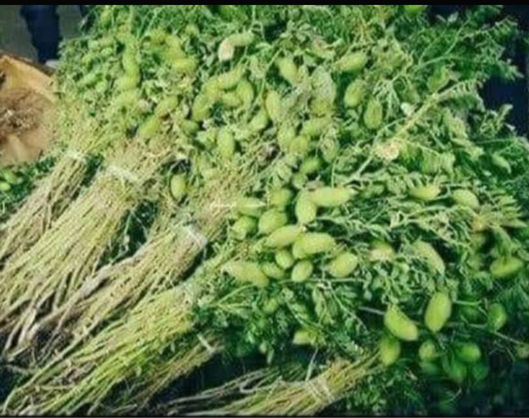 🎧🎶خمريه💅🏼☕️🍫 tweet media