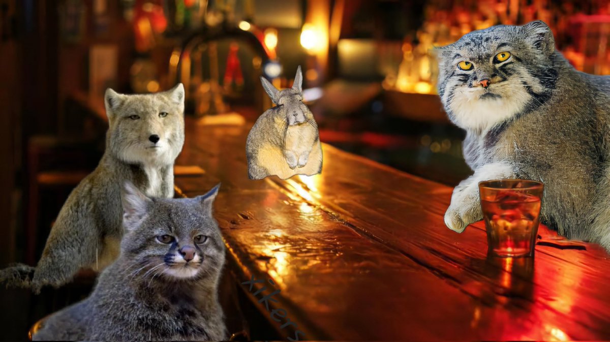 neoguri ~ tweet media