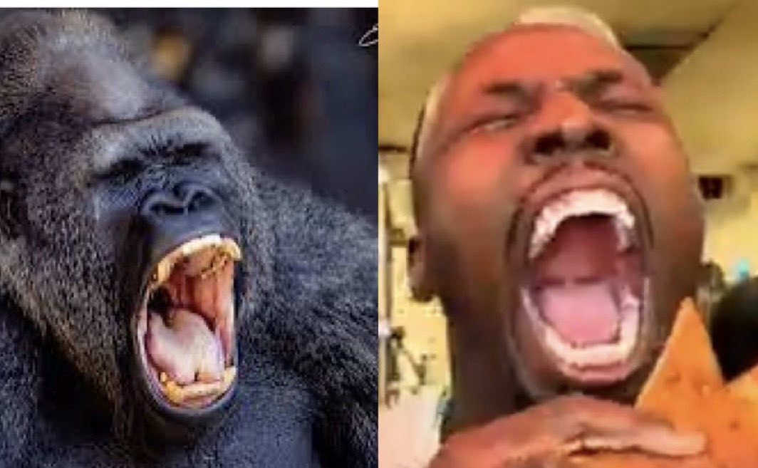 John 14:6 tweet media