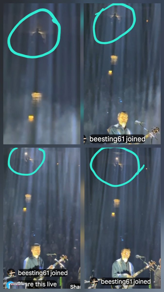 Bea 🐝🏁💙💚 ❤💛🧡🏳️‍🌈 tweet media