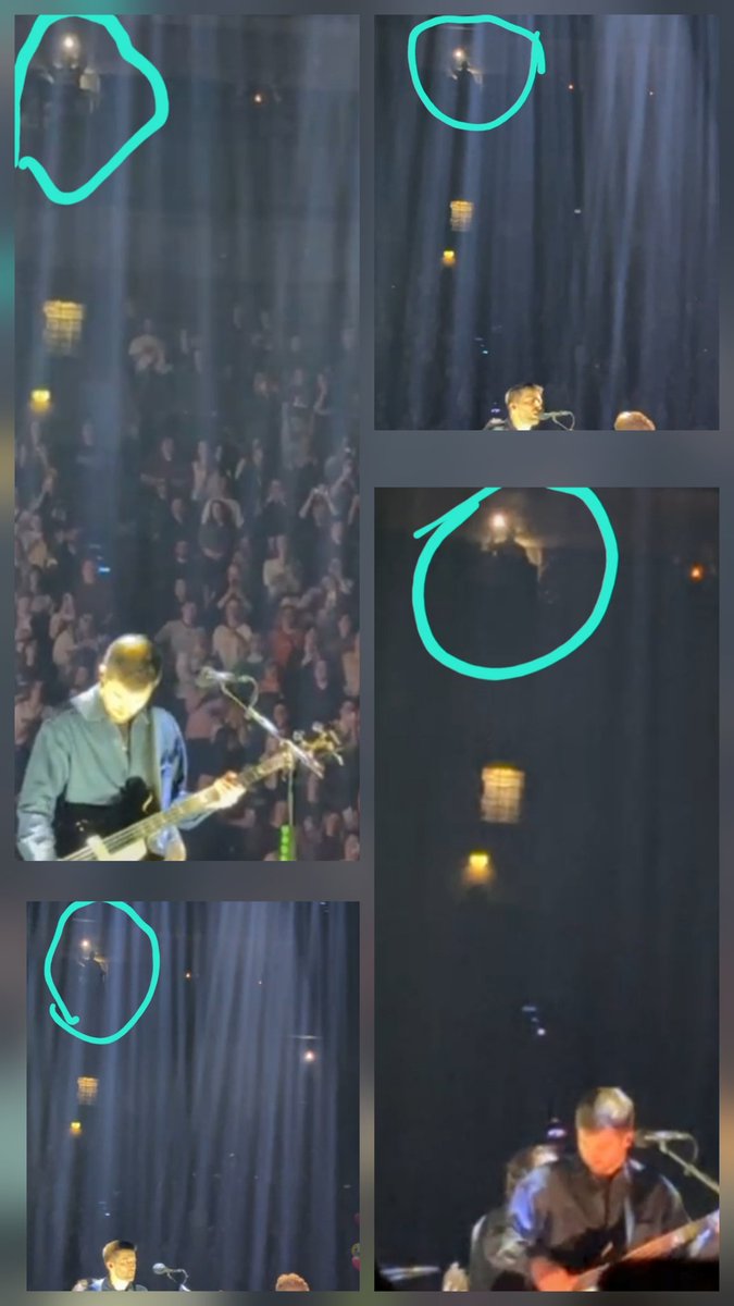 Bea 🐝🏁💙💚 ❤💛🧡🏳️‍🌈 tweet media