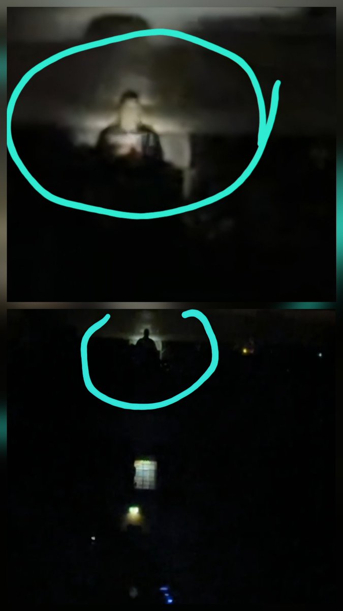 Bea 🐝🏁💙💚 ❤💛🧡🏳️‍🌈 tweet media