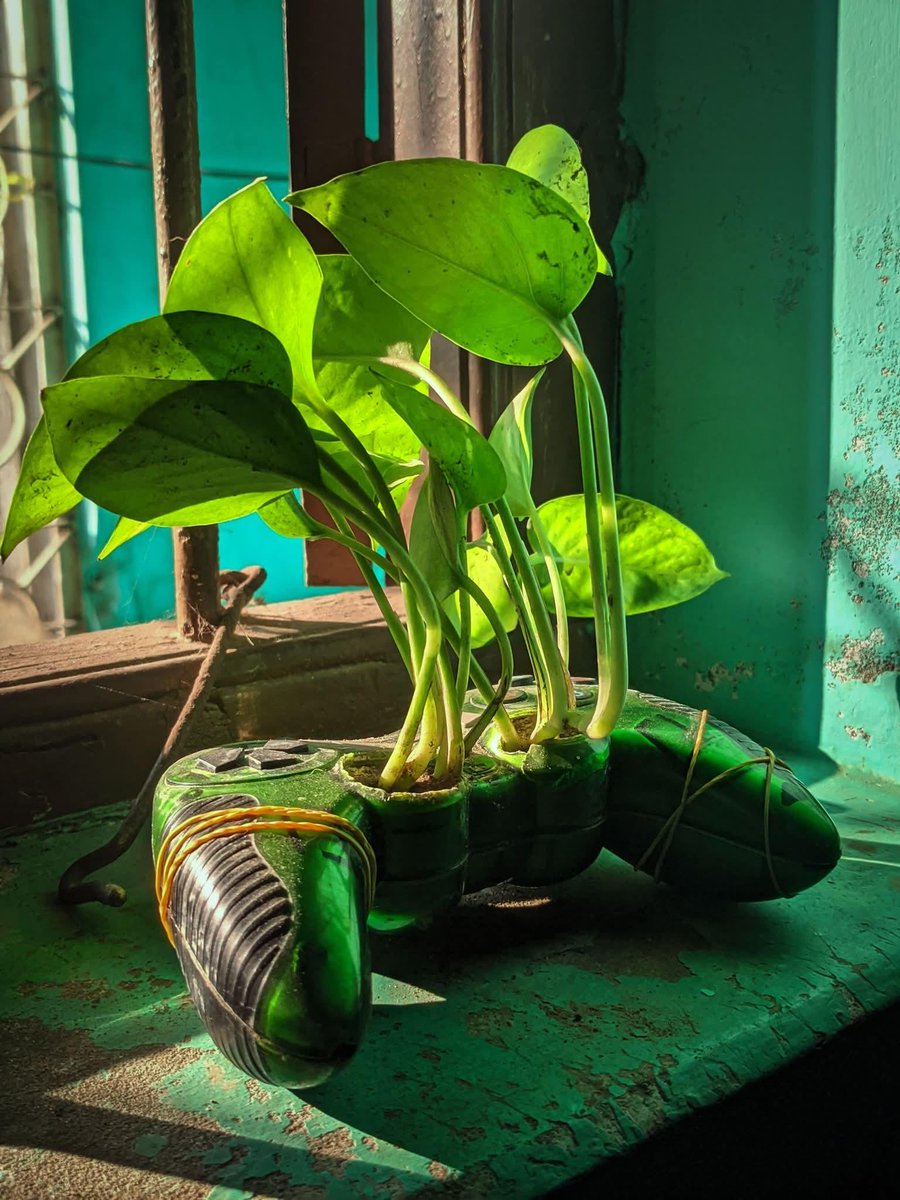 Robert Dale Smith tweet media