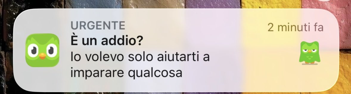 mammascusa tweet media