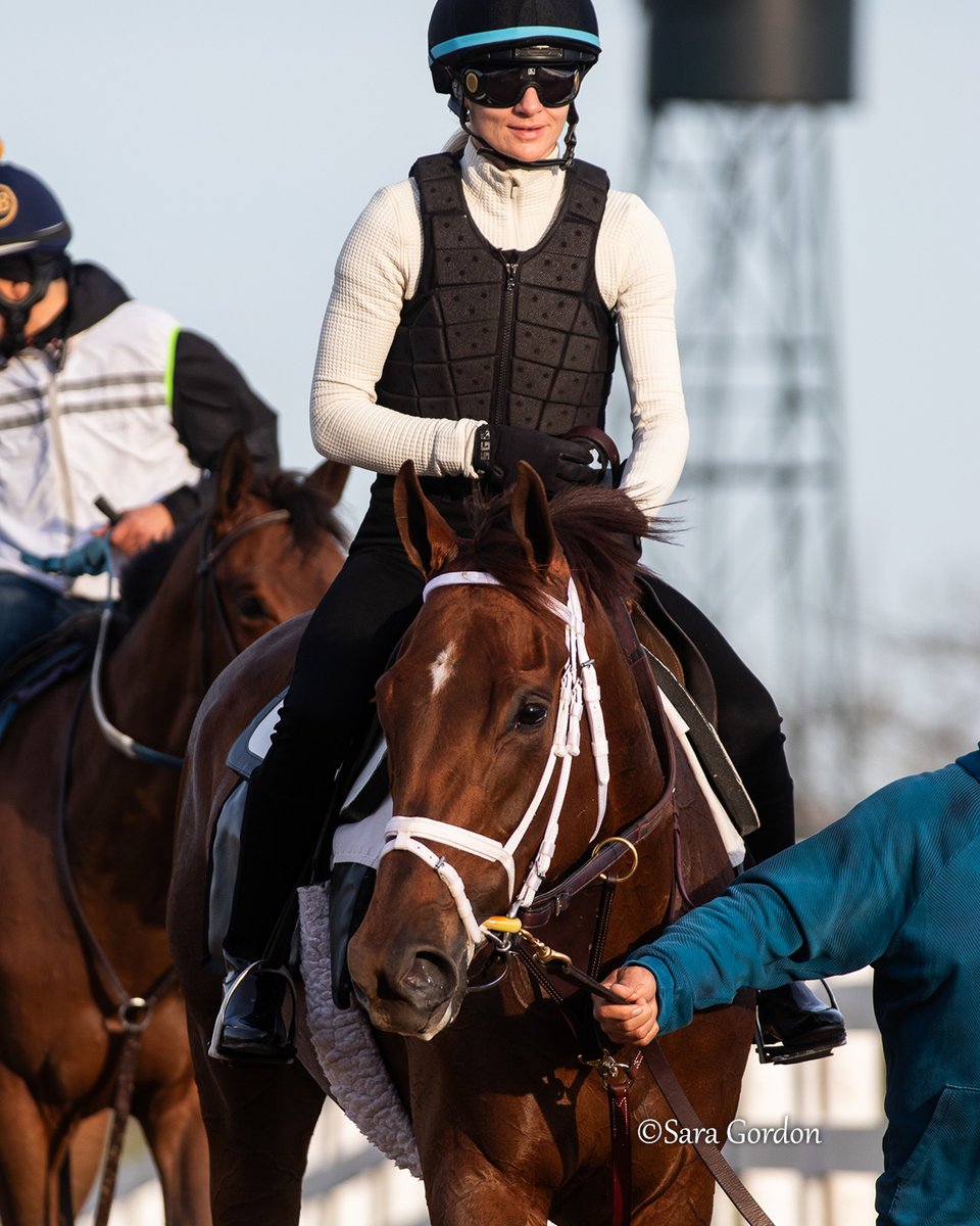 Zany ✨ Entered in Friday's GI Ashland Stakes at Keeneland.

So far, the Todd Pletcher trainee is a perfect 3-for-3.
🥇 Suncoast Stakes
🥇 GII Demoiselle Stakes
🥇 MSW at Gulfstream Park

The Road to the 2026 Kentucky Oaks continues! 🌸