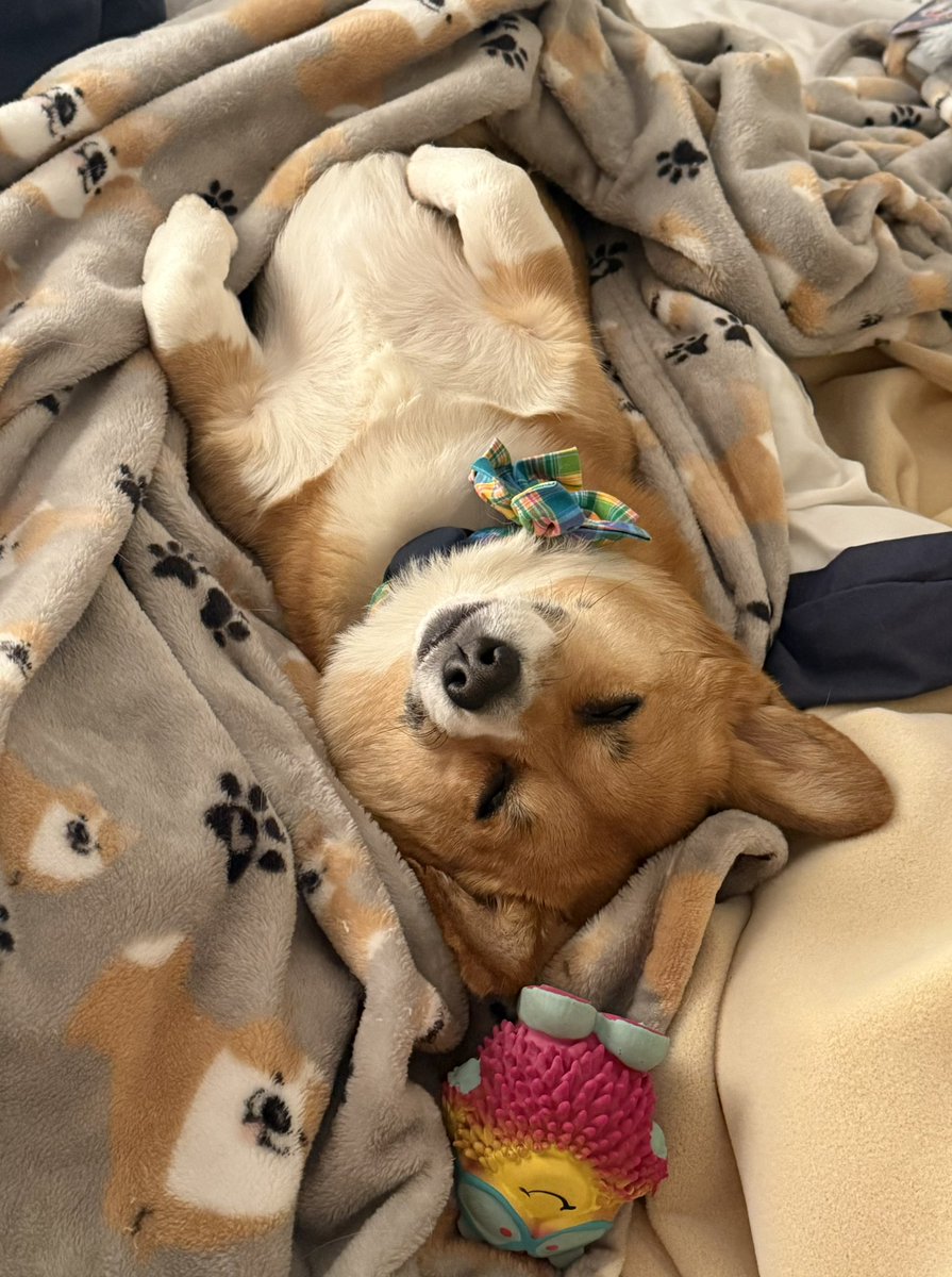 Rheaquaza tweet media