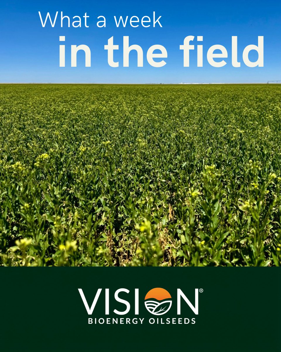 VisionBioSeeds tweet picture