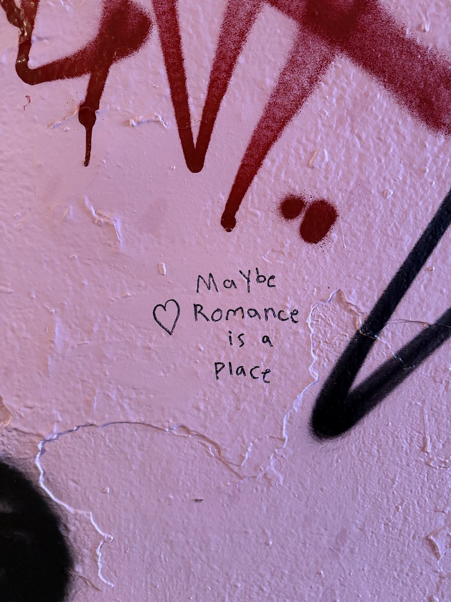 Connor Storrie En Español tweet media