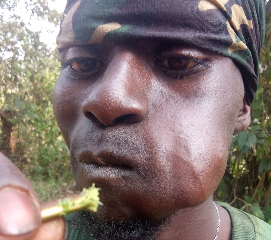 ML Rodger tweet media