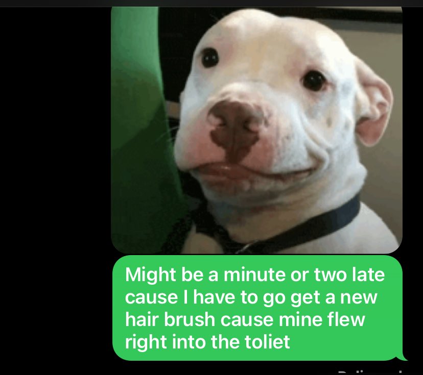 zelphiamoth's tweet photo. This is the text I sent my boss this morning

How is y’all’s day going so far? 🤣 https://t.co/m3DMs1cj29