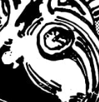 #ONEPIECE1179 Techno ancien royaume ? (ou inspi ++ vol techno toussa toussa)