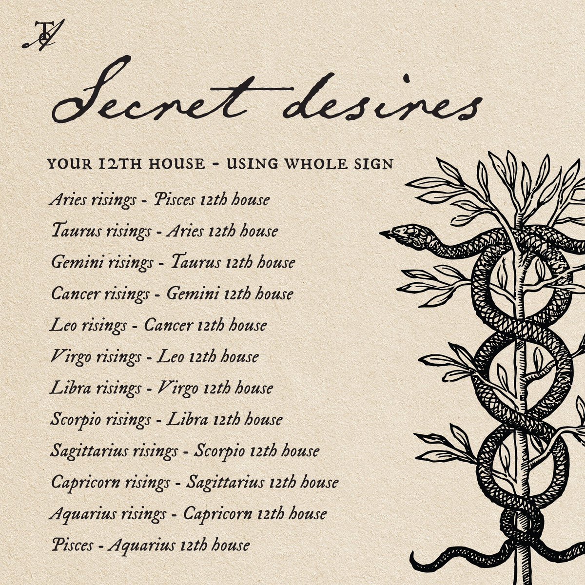 Typewriter Astrology tweet media