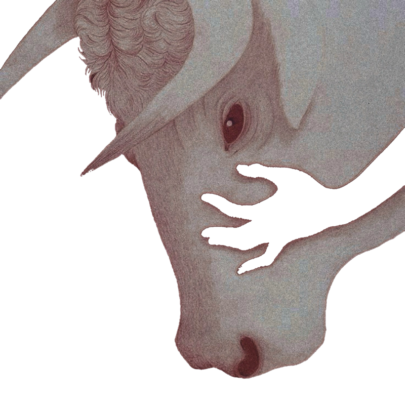 ‍ ‍ ‍ ‍ ‍ ᴸᴼⱽᴱ ‍ 𝕭𝐈𝐓𝐄𝐒 .ᐟ tweet media