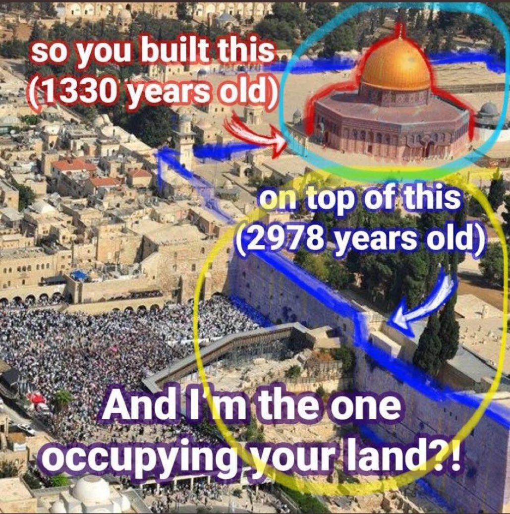 Shoshannah tweet media