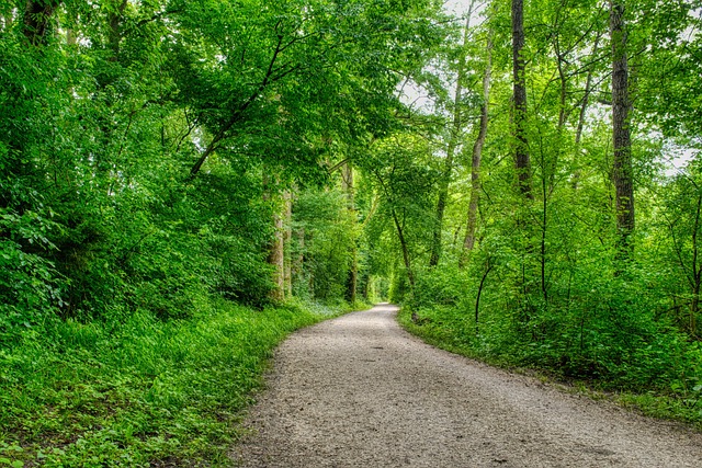 Dale Harwood tweet media