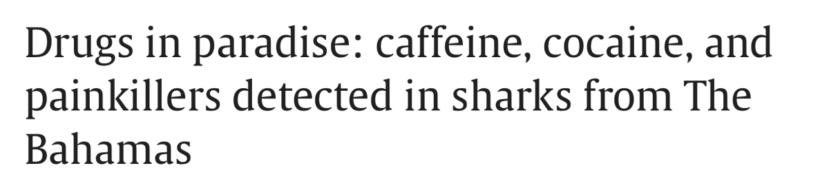 Students for Life of America | Pro-Life Gen tweet media