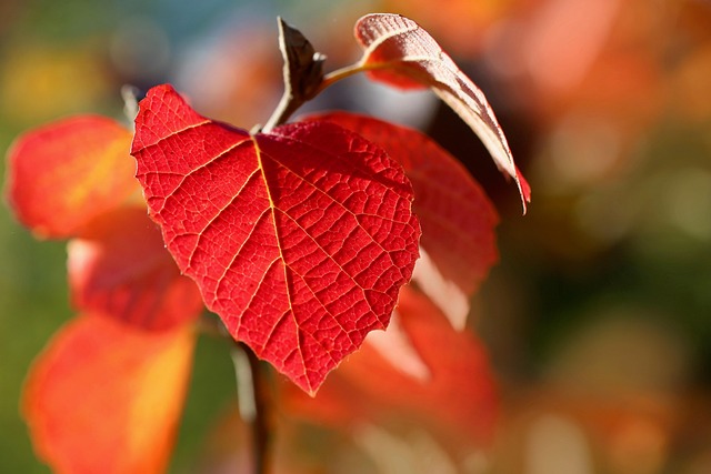 Pamela Craig tweet media