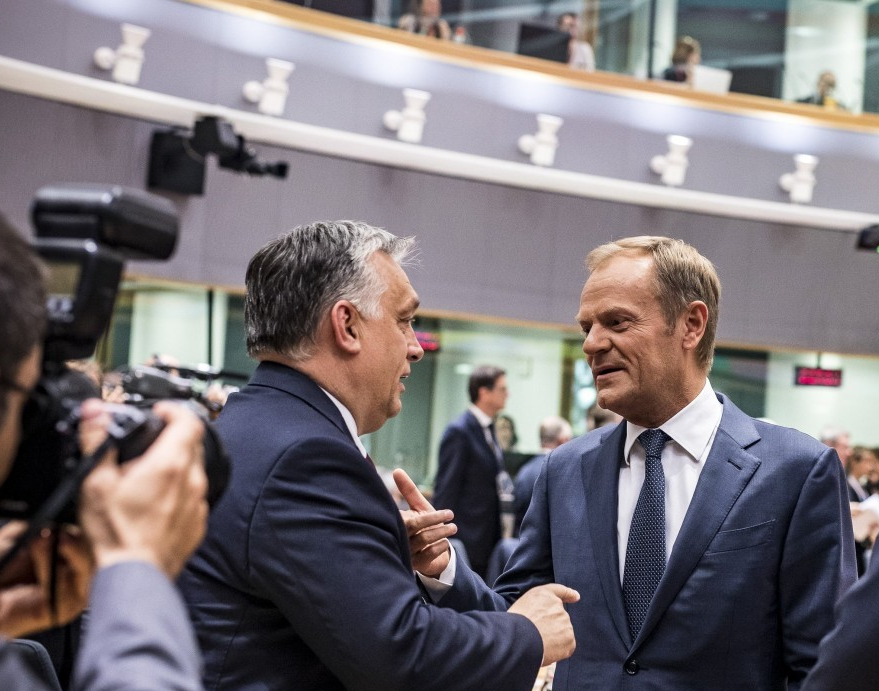 🇭🇺Viktor Orbán PL🇵🇱 tweet media