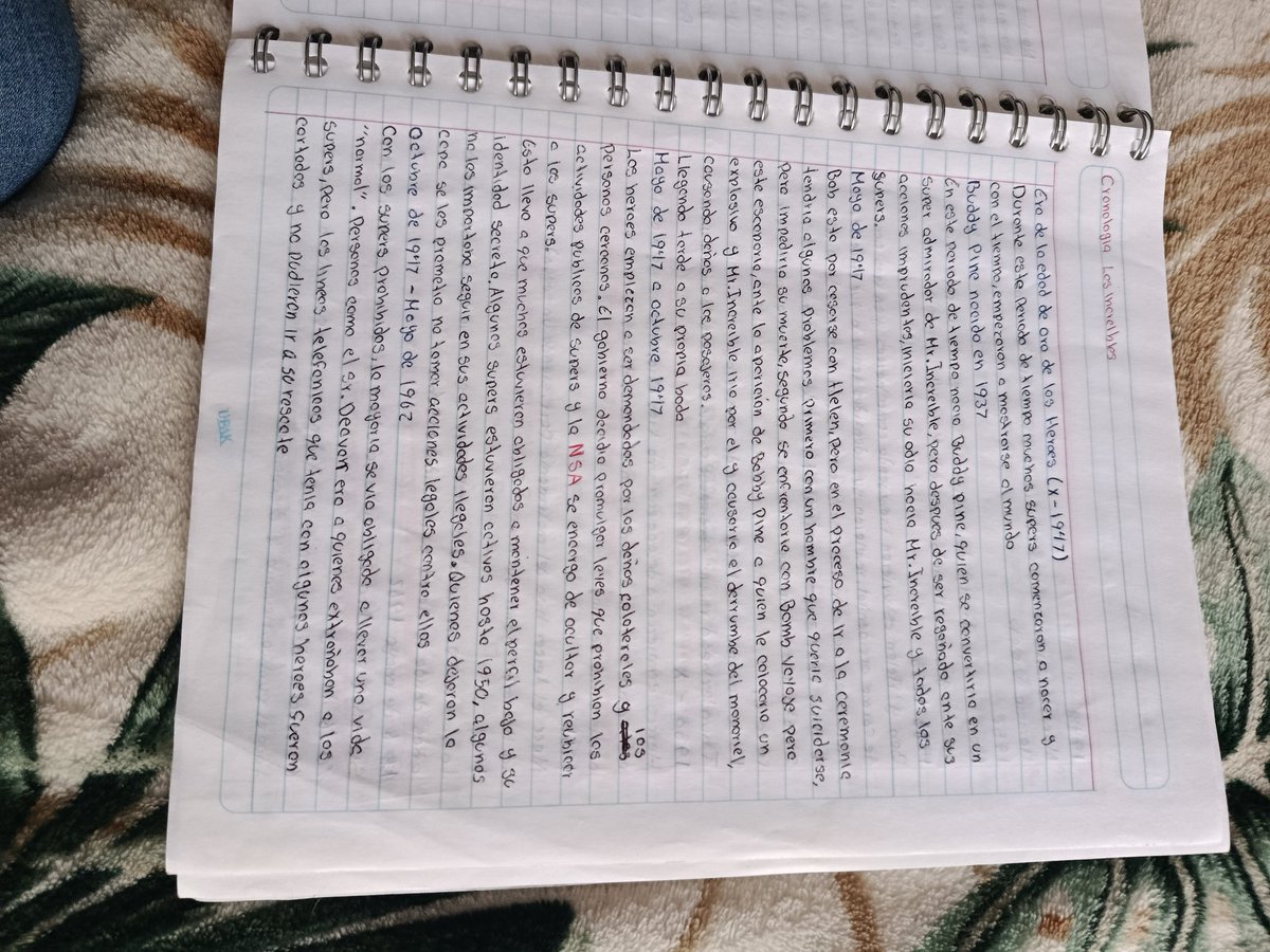 Lana_Mapache_Galactico tweet media