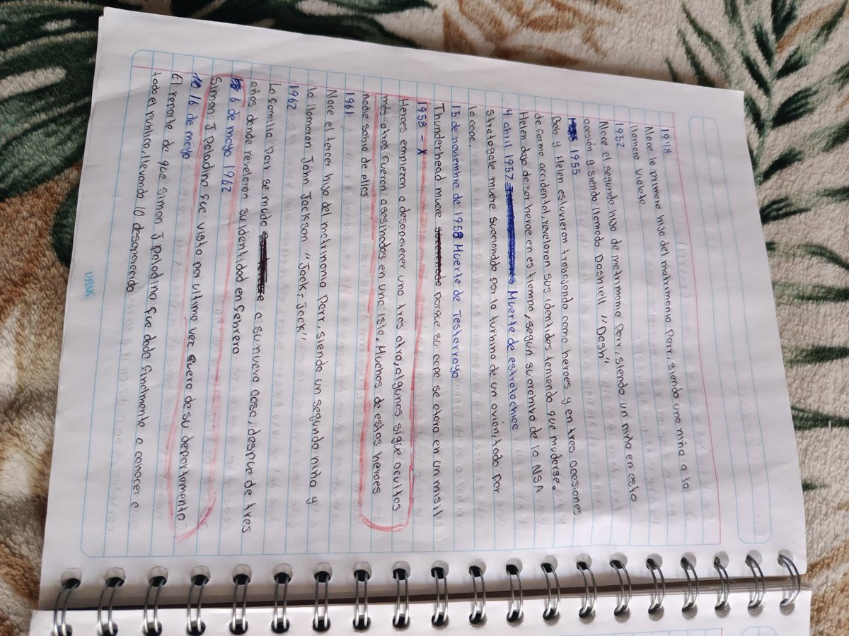 Lana_Mapache_Galactico tweet media